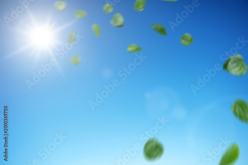 Cuadro en lienzo Beautiful spring or summer day with green leaves dancing in the breeze against a bright blue sky and shining sun