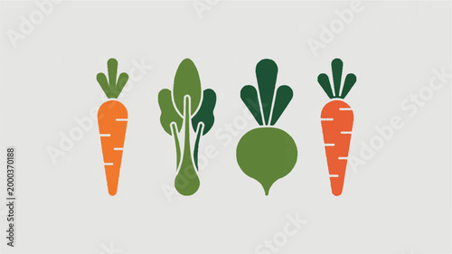 Colorful illustrations of carrots and leafy green vegetables side by side