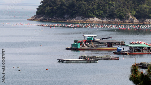 Fotografi Aquaculture Fish, Oyster, and Shellfish Farm with Fishermen's Platforms, integra