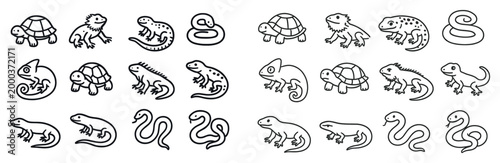 Reptile icons with turtle snake lizard outline