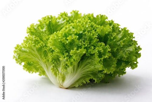isolated green lettuce with...