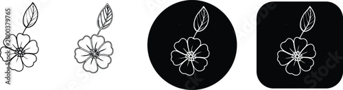 Set of jasmine flower line art icons with various outline styles and backgrounds, real image, no blur, clear image, hd, full hd, photos, isolated white background.