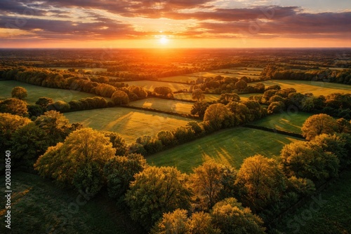 Illuminated treetops and he...