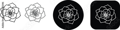 Set of camellia flower line art icons with various outline styles and backgrounds, real image, no blur, clear image, hd, full hd, photos, isolated white background.