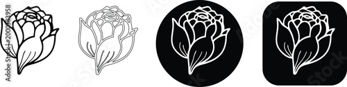 Set of peony flower bud line art icons with various outline styles and backgrounds, real image, no blur, clear image, hd, full hd, photos, isolated white background.