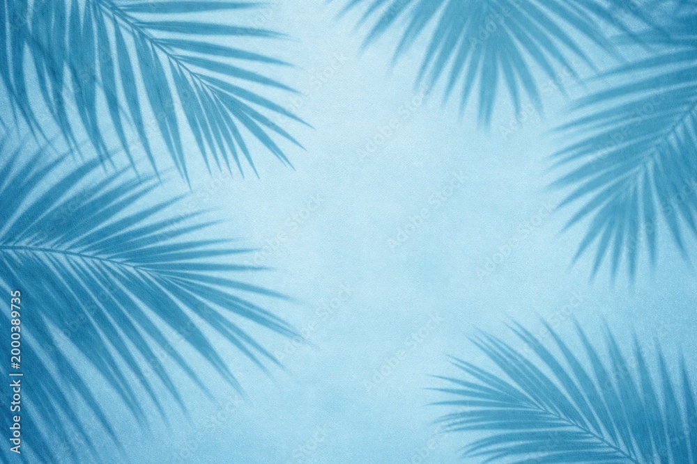 Fototapeta premium Flat lay blue backdrop with palm leaf shadow perfect for product promotion and display