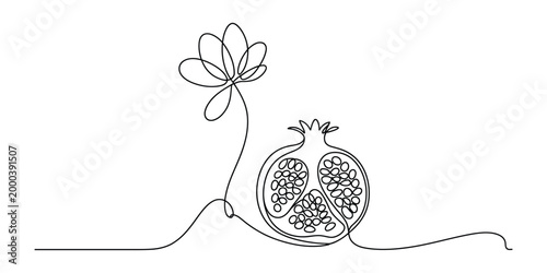 Continuous single line drawing of pomegranate and flower