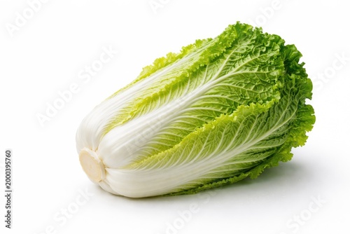 Crisp Chinese cabbage shown...