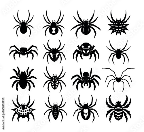Collection of black spider silhouettes and icons, illustrating various arachnids, bugs, and creepy crawlies