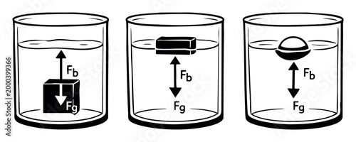 Objects demonstrating buoyancy with gravitational force (Fg) and buoyant force (Fb) across three states: sinking, submerged, and floating