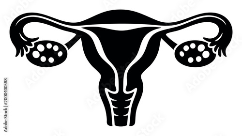 Female reproductive anatomy showing uterus, fallopian tubes, and ovaries, illustrating fertility, pregnancy, and gynecological health