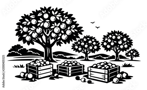 Apple orchard trees bearing ripe fruit with wooden crates full of harvested apples, symbolizing farming, organic produce, and harvest season