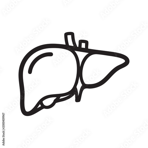 Simple liver organ line drawing illustration in minimalist style