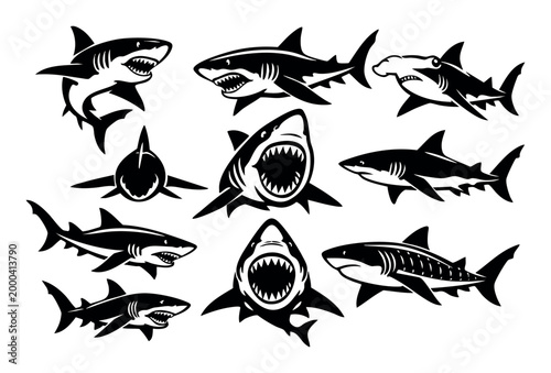 Collection of various shark species in different poses, including great white and hammerhead, showing open jaws and aggressive expressions
