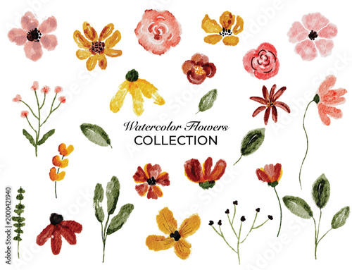 Hand-Painted Watercolor Flower Collection with Elegant Floral Elements and Leaves Isolated on White Background