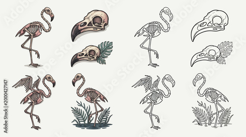 Collection of Flamingo Skeletons and Skulls with Botanical Elements, Presented in Color and Monochrome.
