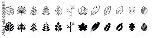 Large botanical collection of various leaf types and plant branches in linear and solid silhouettes isolated on transparent background perfect for natural organic design themes and eco friendly art.