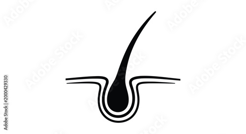 Minimalist black and white vector illustration of a single hair follicle and strand