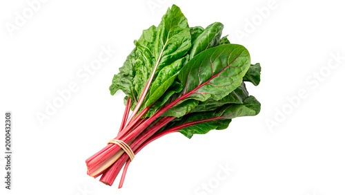 Cuadro en lienzo Fresh bunch of Swiss chard with green leaves and red stems placed on a white bac