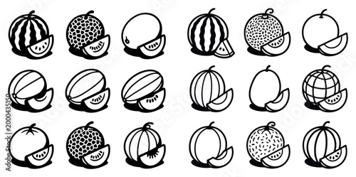 Fruit icons with watermelon melon slice outline