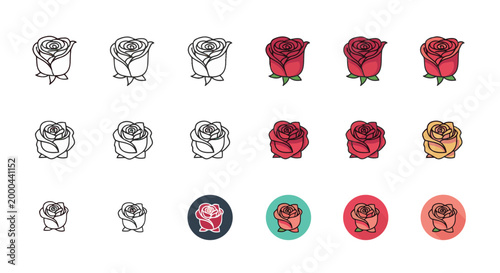 Rose flower close up color variation collection.
