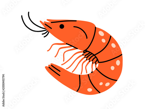Vector bright orange red shrimp with antenna and eye detail, light spot on shell. Cute marine prawn seafood illustration for menu, sushi bar logo and ocean animal design. Ocean food in flat design.
