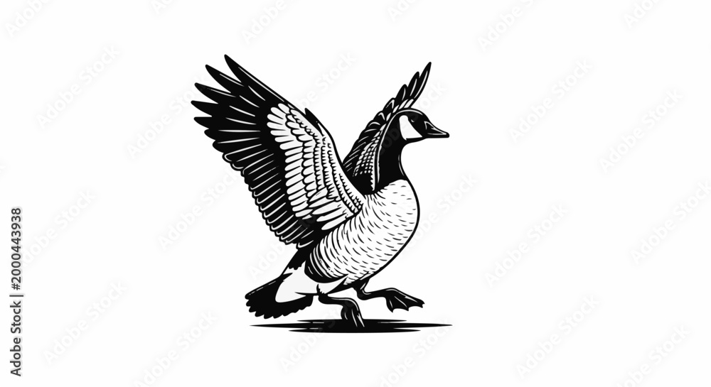 Fototapeta premium A stylized black and white illustration of a Canada goose in mid-stride