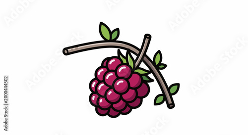 A single stylized raspberry hangs from a thorny vine with leaves