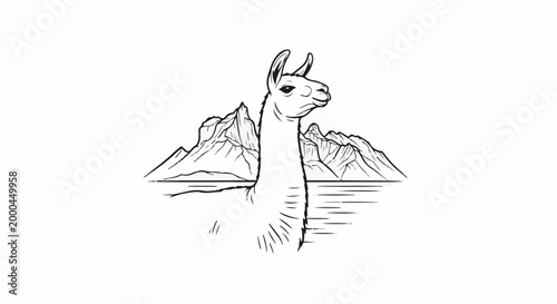 A sketched llama stands before a mountain range reflected in water