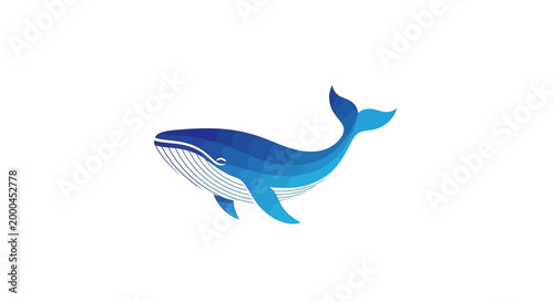 Blue Whale Vector Illustration