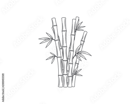 Hand-drawn bamboo stalks with leaves in minimalist black and white line art illustration