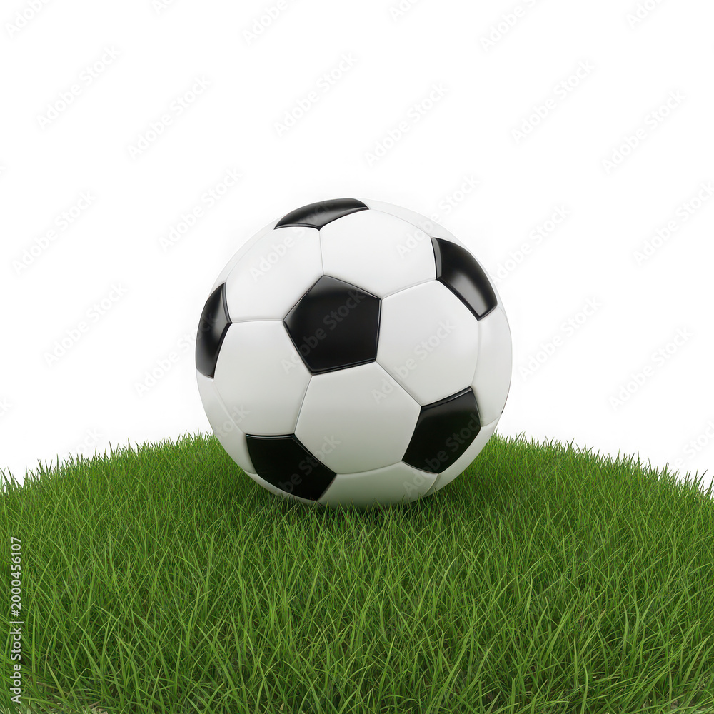 Fototapeta premium A soccer ball sitting on green grass