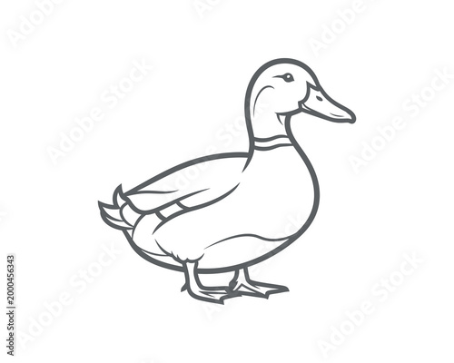 Black and white line art illustration of a mallard duck standing isolated on white background