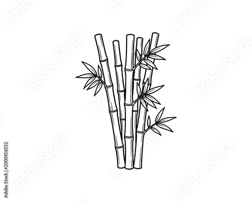 Hand-drawn bamboo stalks with star-shaped flowers minimalist line art illustration
