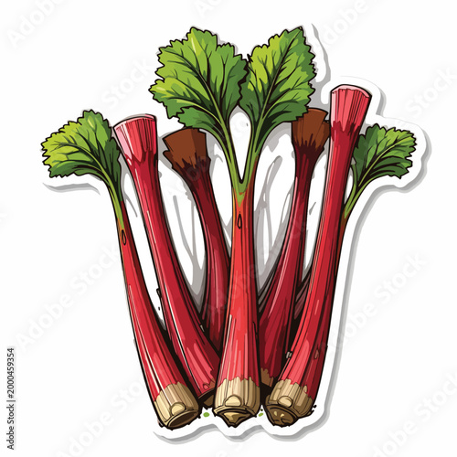 Colorful illustration of fresh rhubarb stalks with green leaves against a white background