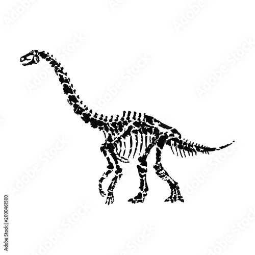 black and white illustration of a hand drawn dinosaur skeleton in grunge style, vintage art vector
