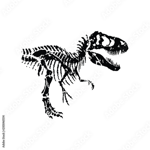 black and white illustration of a hand drawn dinosaur skeleton in grunge style, vintage art vector