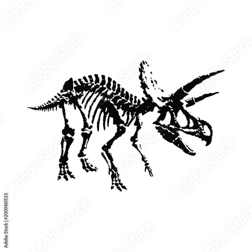 black and white illustration of a hand drawn dinosaur skeleton in grunge style, vintage art vector