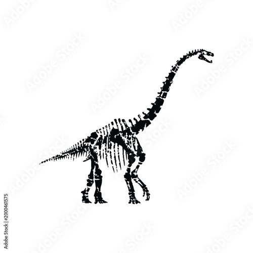 black and white illustration of a hand drawn dinosaur skeleton in grunge style, vintage art vector