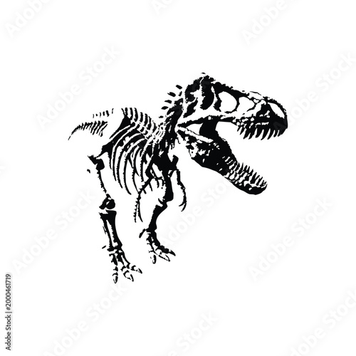 black and white illustration of a hand drawn dinosaur skeleton in grunge style, vintage art vector