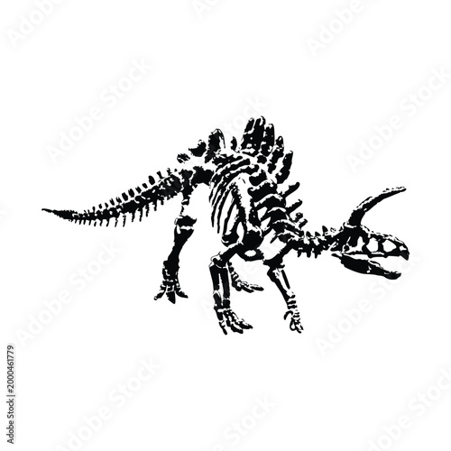 black and white illustration of a hand drawn dinosaur skeleton in grunge style, vintage art vector
