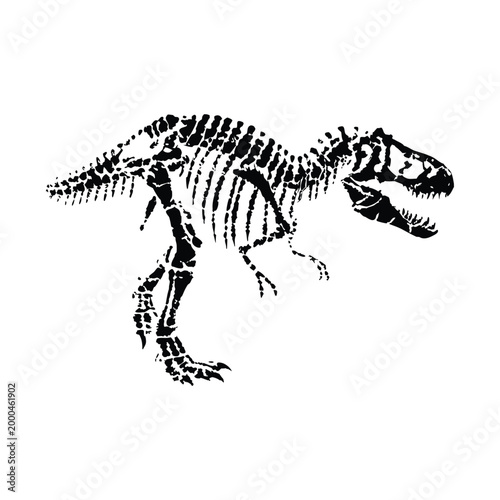 black and white illustration of a hand drawn dinosaur skeleton in grunge style, vintage art vector