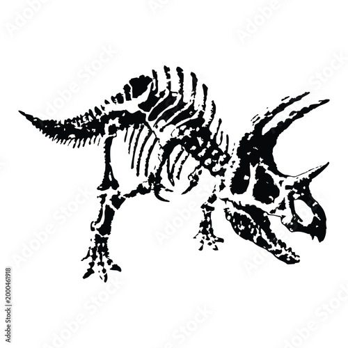 black and white illustration of a hand drawn dinosaur skeleton in grunge style, vintage art vector