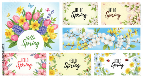 Spring floral banner set with Hello Spring text, colorful blooming flower collection with tulips and daffodils, seasonal botanical vector illustrations isolated PNG with Transparent Background