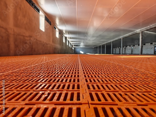 Low angle view of orange plastic slatted flooring for pig housing installed in large livestock building with ventilation windows and long perspective. Pig farming, agriculture infrastructure