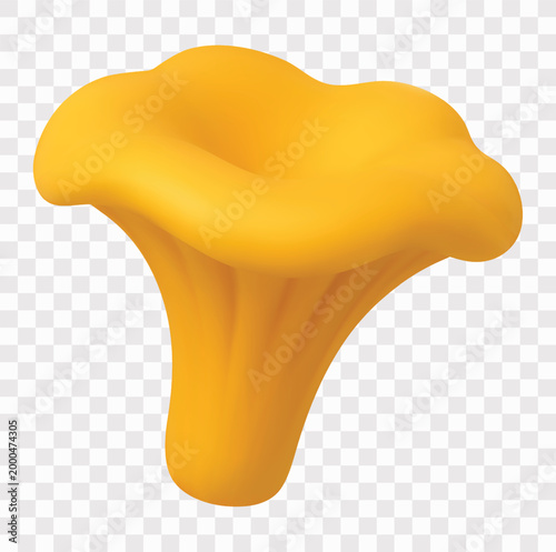 Edible and Wild Mushroom Vector Icon Set | 3D icon set | chanterelle mushroom