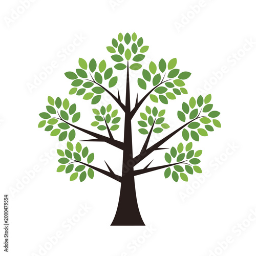 Stylized Green Tree with Lush Leaves on White Background, Vector Illustration