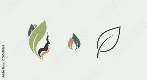 Stylized Leaf Designs Vector Illustration