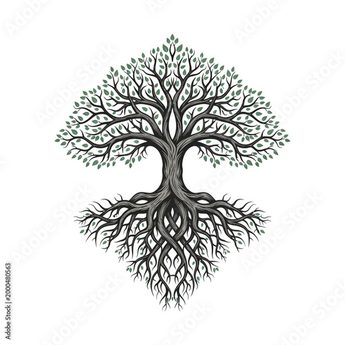 Symmetrical Tree of Life with Intricate Roots and Green Leaves on White Background