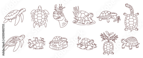 Cute Sea Turtle and Tortoise Doodle Collection Outline Drawing
